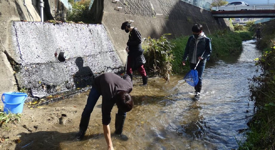 森林/河流/稻田项目